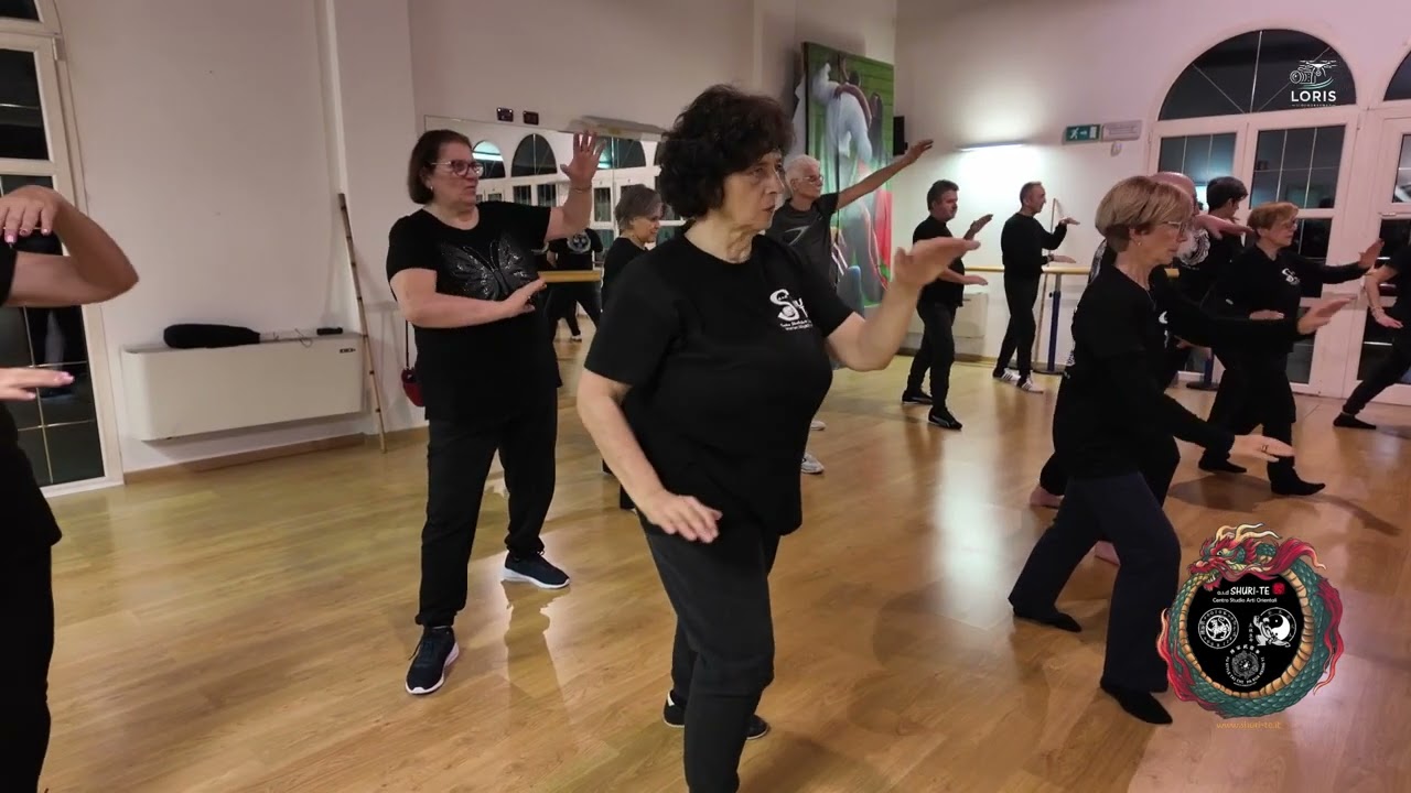 TAI CHI FU STYLE    Villa Bartolomea VR