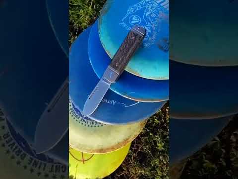 Disc golf again