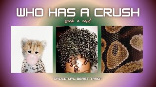 Download Lagu Who Has a Crush | Pick a Card 🫧⚡️🍏 MP3 Download Lagu Who Has a Crush | Pick a Card 🫧⚡️🍏 MP3