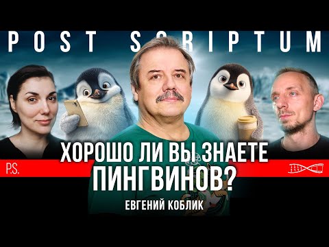 Пингвины не то чем они кажутся Постскриптум
