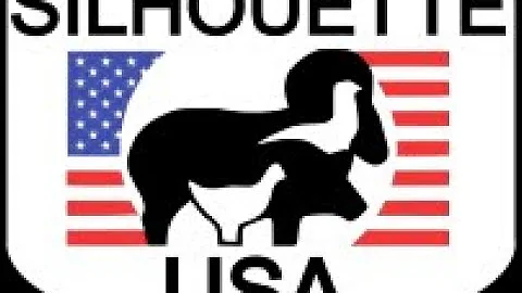 .22lr Rimfire Dry Fire Safety Metallic Silhouette