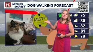 Dog walking forecast: Finally, a green paw day | Good Day on WTOL 11