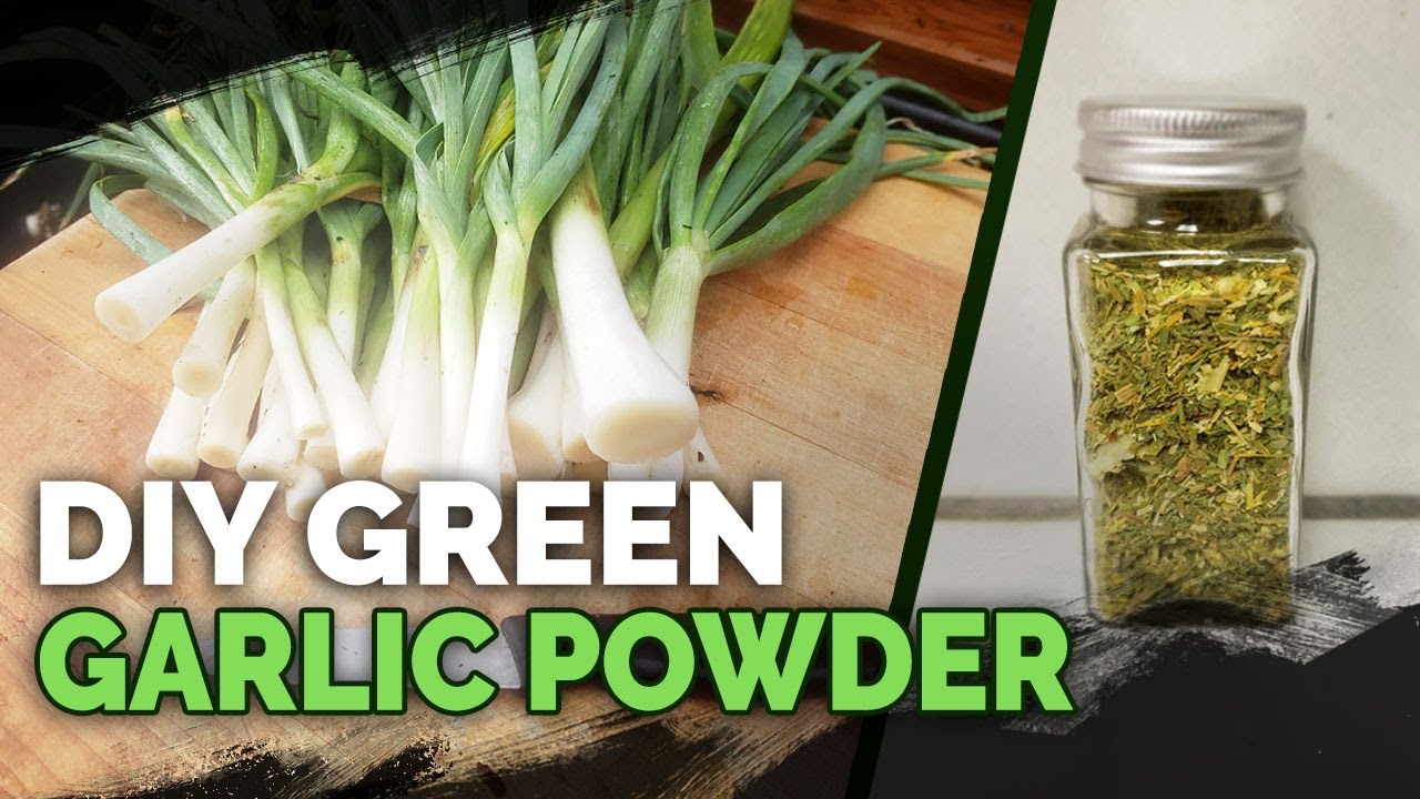Never Waste Your Garlic Tops Again! Green Garlic Powder Recipe 