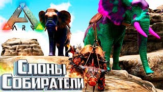 ДЛИНА БИВНЕЙ РЕШАЕТ - Pugnacia ARK Survival Evolved #3