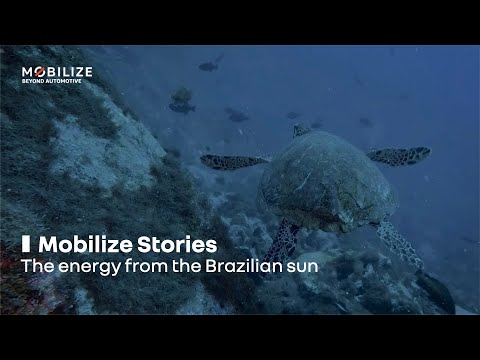 The energy from the Brazilian sun | Renault Group