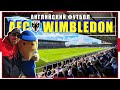 AFC Wimbledon / Футбольные клубы Лондона / Английский Футбол / Взгляд с трибуны #48