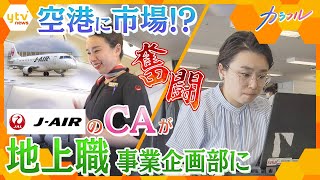 「CAから地上職へ」航空業界の再起 コロナ禍を経て彼女が見つけた選択肢【かんさい情報ネットten.特集/カラフル】