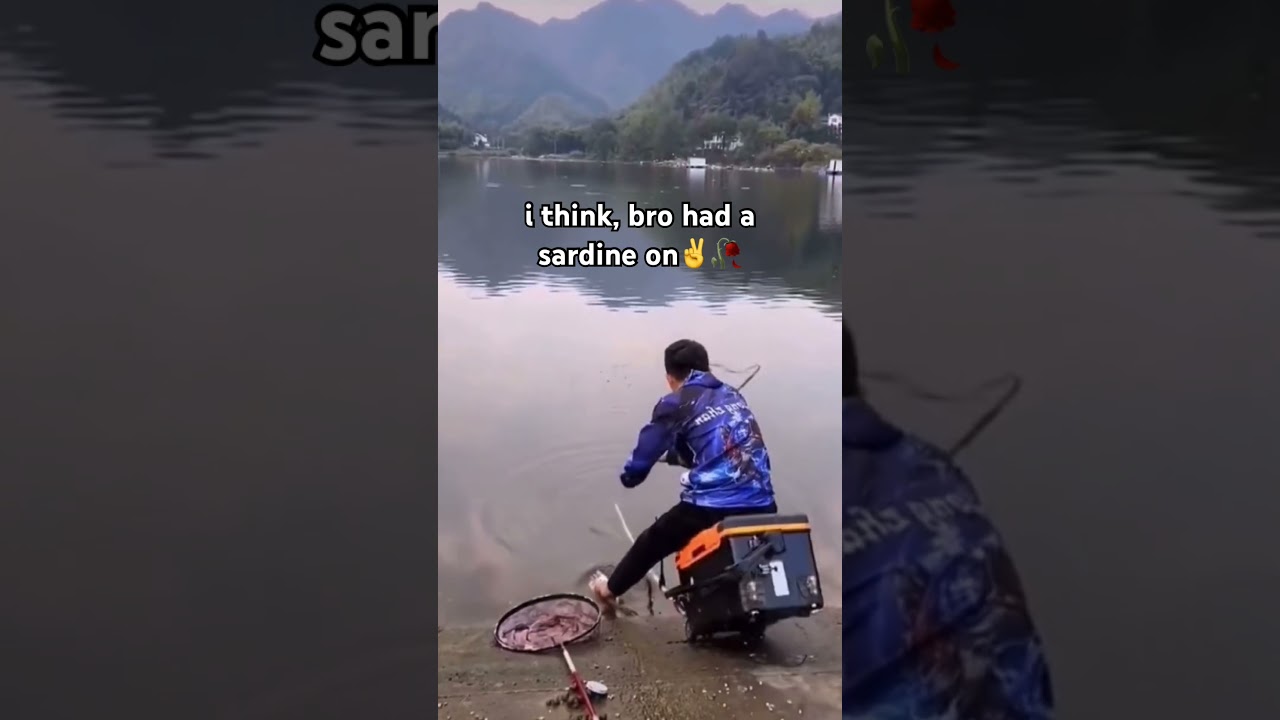 sardini #fishing #fisherman #fish #fishvideo #fishingvideo #fishinglife #fishingshorts #shorts #fyp