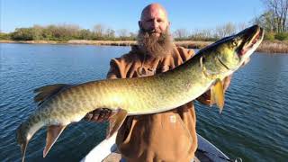 3 musky day including an IL Giant!