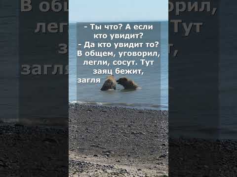 Лига плохих шуток.