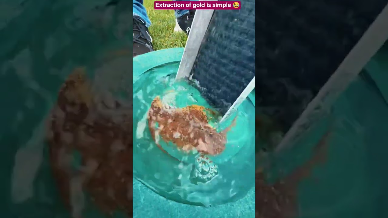 Extraction of gold is simple 😂