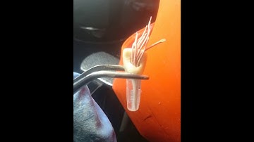 ORE 2 MANIKIN EXAM PREPARATION COURSES BIRMINGHAM, UK