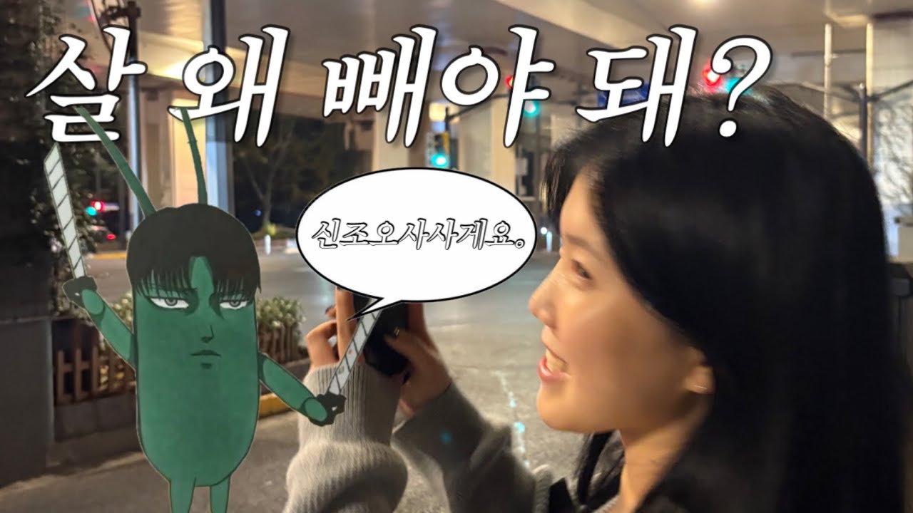 업보 청산 브이로그