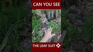 Camouflage Has Become OP!