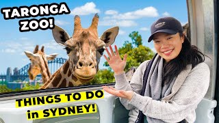 THINGS TO DO IN SYDNEY - TARONGA ZOO DAY TRIP! (Must-Visit Tourist Attraction in Sydney Australia)