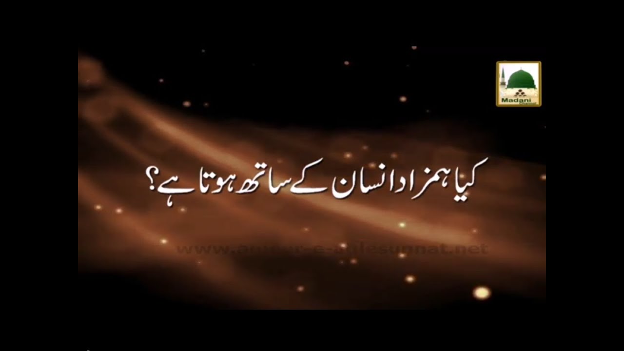 Kya Hamzad Insan Kay Sath Hota Hai - Short Clip - Maulana Ilyas Qadri