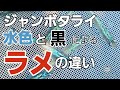 飼育容器によってのラメの違い/メダカ/水色？黒？/ジャンボタライ/サファイア