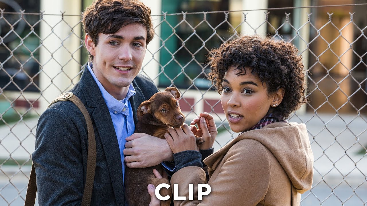 DIE UNGLAUBLICHEN ABENTEUER VON BELLA - Clip "Neue Freunde" - Ab 24.1.19 im Kino!