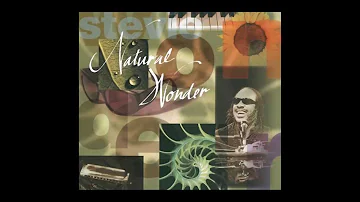 Stevie Wonder - Dancing To The Rhythm Lyrics HD