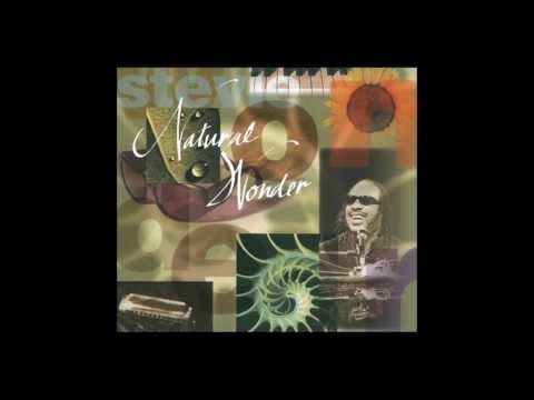 Stevie Wonder - Dancing To The Rhythm Lyrics HD