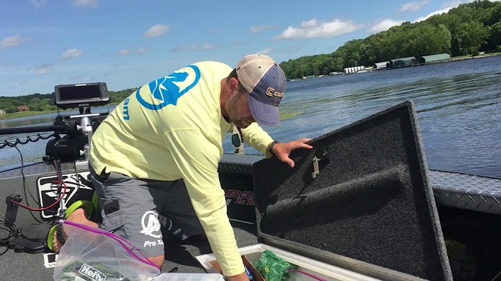 Storing Soft Plastics for Fishing