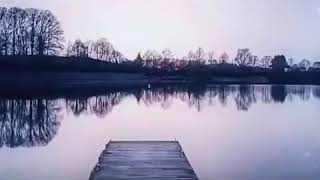 Cox Yorulmusam Elvida Yutub