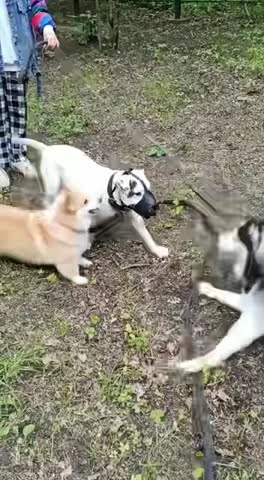 youtube.com