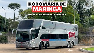 Chegadas do feriadão de 07/09 na Rodoviária de Maringá | Movimentação intensa de ônibus.
