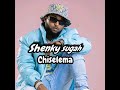 Shenky sugah  chiselema mp3