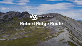 Robert Ridge Route: Alpine Tramping (Hiking) Series | New Zealand