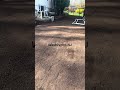 #sod #installation
