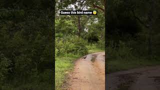 comment this bird name below #wildlife #birds #jananayagan #release #booking #bookmyshow #viralvideo