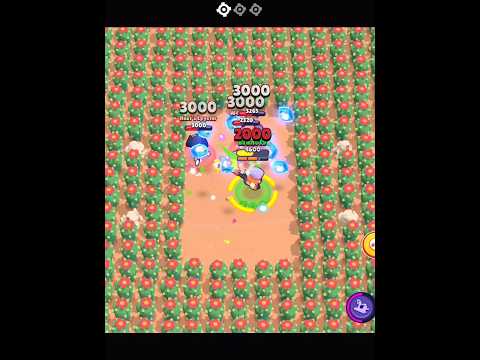 FANG vs 3 CATS ☠️☠️☠️