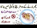 ✅ Machar Bhagane Ka Asaan Tarika 🤔 Homemade Mosquito repellent refill / get rid of mosquitoes / Hack