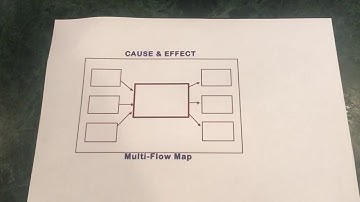 Multi-Flow Map