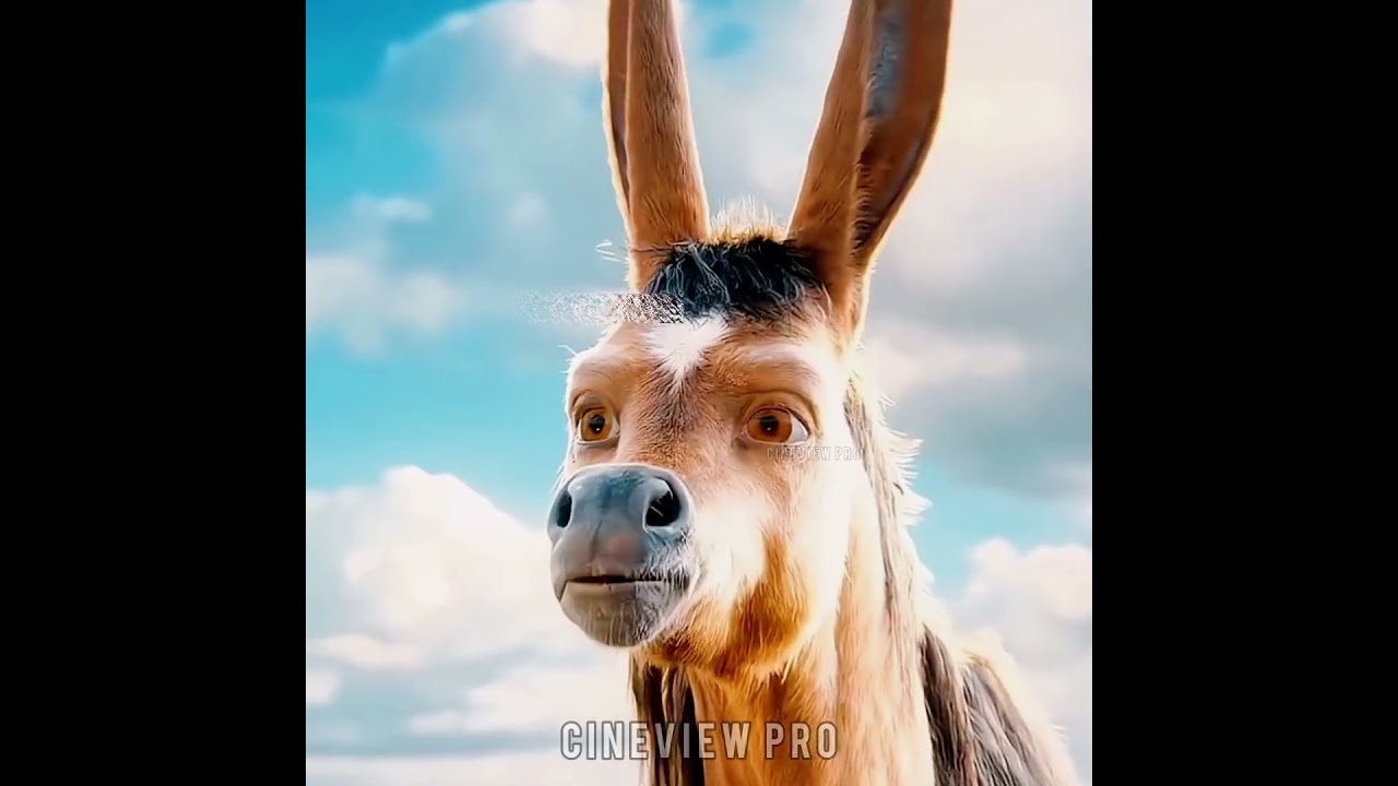 ছেলেটি সমুদ্রের নিচে গিয়ে একি দেখলো 😱