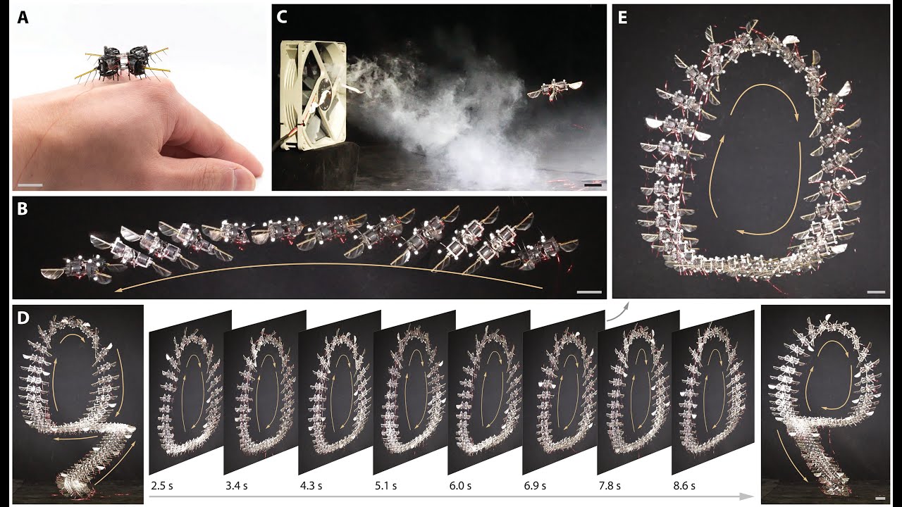 Aerobatic maneuvers in insect-scale robots via deep-learned robust tube MPC (Science Advances 2025)