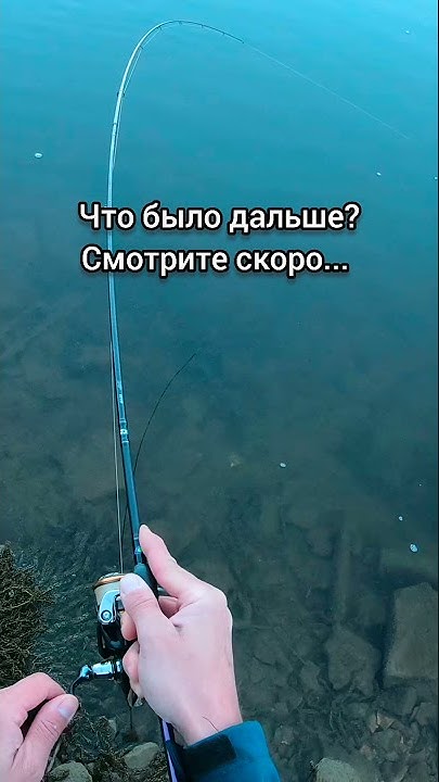 БОЛЬШАЯ ЩУКА НА МАЛЕНЬКИЙ ВОБЛЕР ЧАБИК ОТ SPRO IKIRU MINI CRANK 38 ...