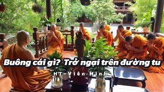 Buông cái gì và trở ngại trên đường tu - HT Viên Minh