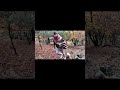 Camping Night Fire &amp; Nature Sounds 🏕️🔥