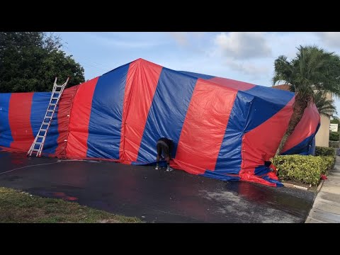 Video: ¿Tienes que hacer carpa en tu casa para las termitas?