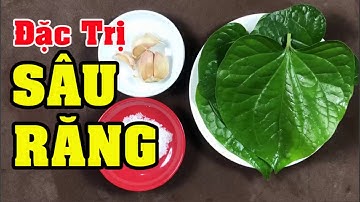 Cách chữa khỏi dứt điểm sâu răng, đau răng, ê buốt răng, hôi miệng ngay tại nhà chỉ với 1 nắm lá lốt