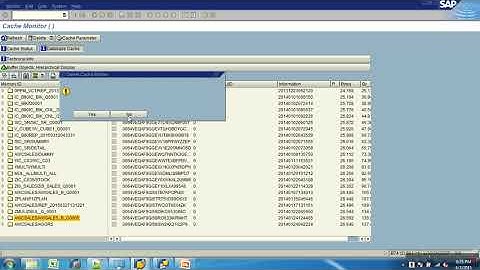 24. BEx Query Designer   2