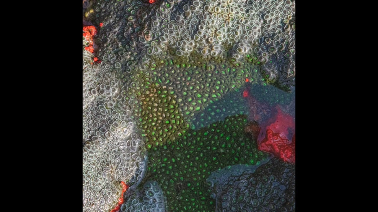 Watch Supreems - Vertigo on YouTube Watch Supreems - Vertigo on YouTube