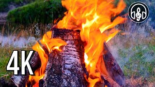 Sounds of a summer campfire. Crackle of firewood accompanied by the singing of morning birds. by Музыка Живой Природы 902 views 2 weeks ago 3 hours, 33 minutes