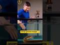 Allah's Superpower Creatures 😱 #shorts #islamicshorts #islamicvideo #facts #viralshort #ytshorts