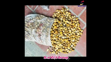 ĐÁ SỎI - Tiểu cảnh sân vườn #garden#xaydung #decor @shortxaydung