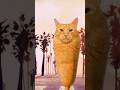 GTA 6 #прикол #cat #gta6