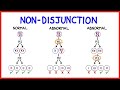 Chromosomal Abnormalities and Genetic Variation in Human Cells