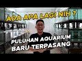 😱😱😱 TAMBAH TANK PULUHAN LAGI DI RUMAH MAYIN?? ISI IKAN APA NIH??